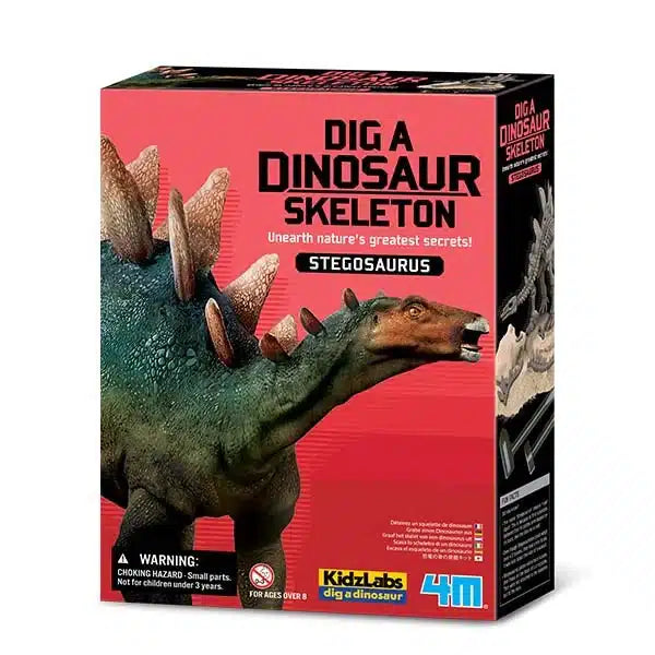 4m Kidzlabs Excaving Stegosaurus