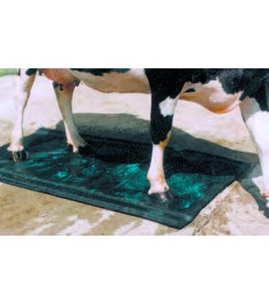 Productos estera para cascos shoof 180 x 90cm