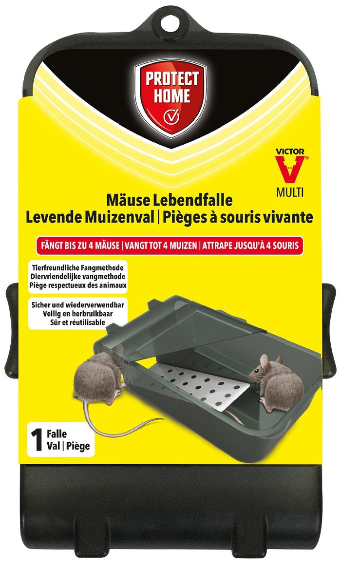 Protect home ratonera atrapasueños 1 pieza
