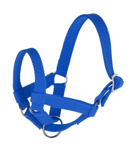 Capezza lama blu gr 50