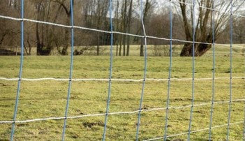 Rete per pecore Ako titannet doppio perno 145 cm