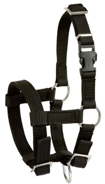 Cabestro de alpaca negro
