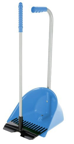 Mestboy mini blu royal 60 cm completo