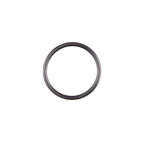 Gloria o anillo 7