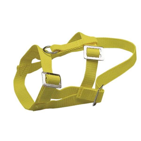 Capezza in nylon per capre e pecore