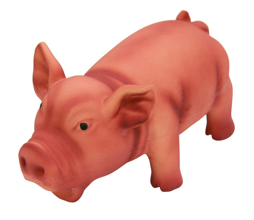Producten latex varken m gromtoon 15cm op kleur gesorteerd