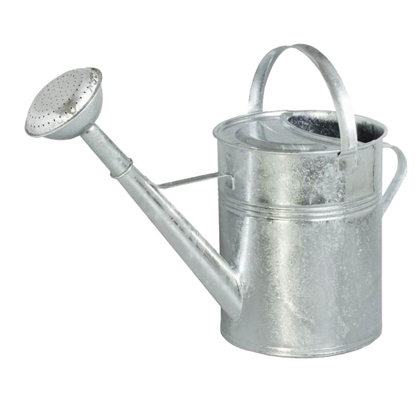 Prodotti annaffiatoio zincato con spruzzatore 9l