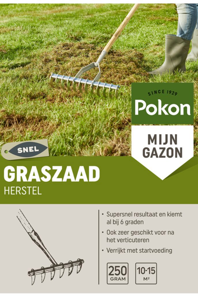 Pokon semi di erba recupero sos 250gr - 7684411100