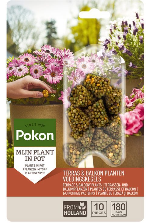 Pokon terraza plantas de balcón nutrición conos largos 10uds