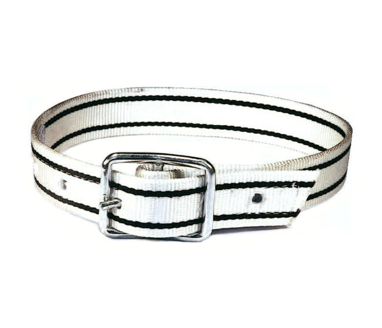 Collar cerda nylon 165cm hebilla lengüeta