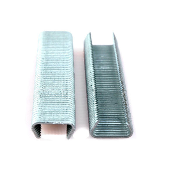 Grapas malla Giardino galvanizadas 20mm 200uds