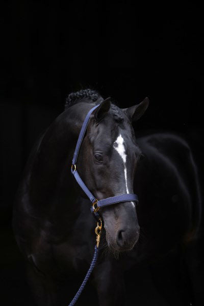 Topline halter azul 1 pony