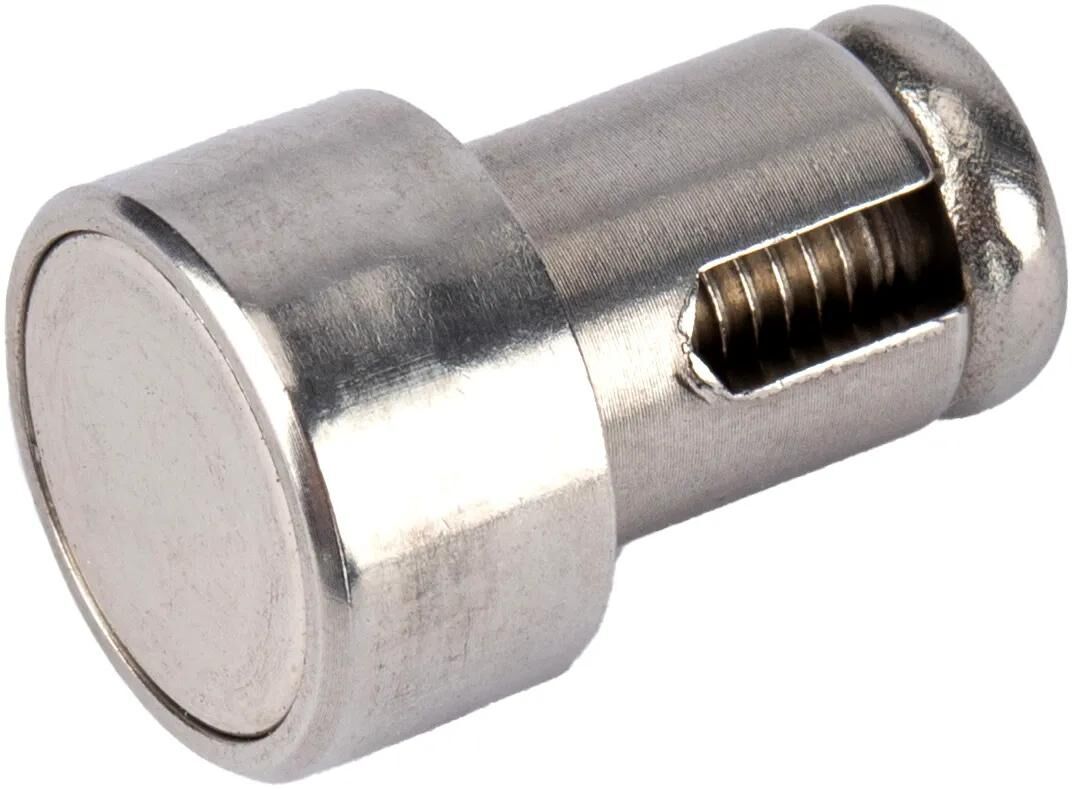 Bosch ha parlato magnete dal 2011