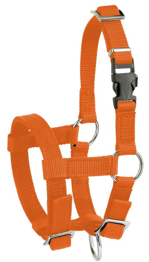 Halter de alpaca naranja