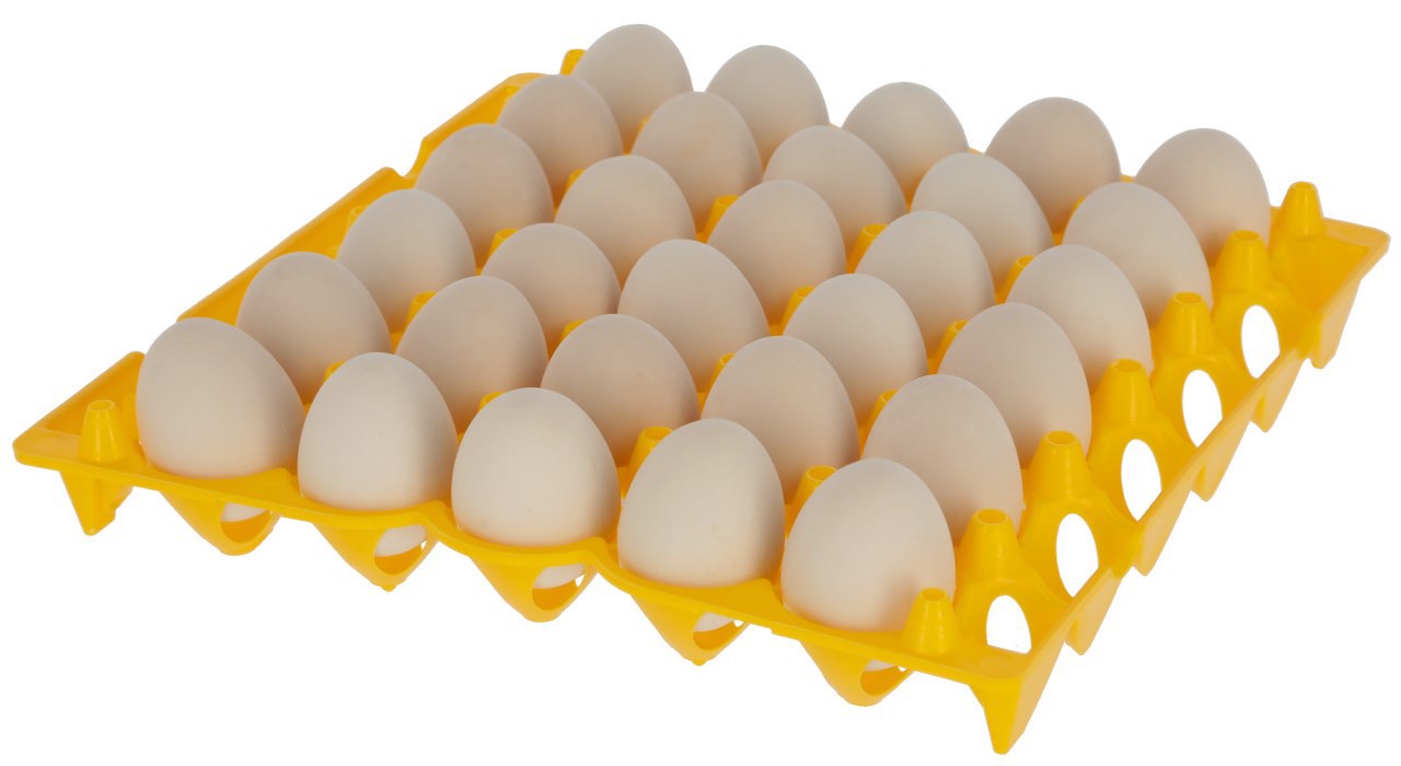 Portauova in plastica per 30 uova