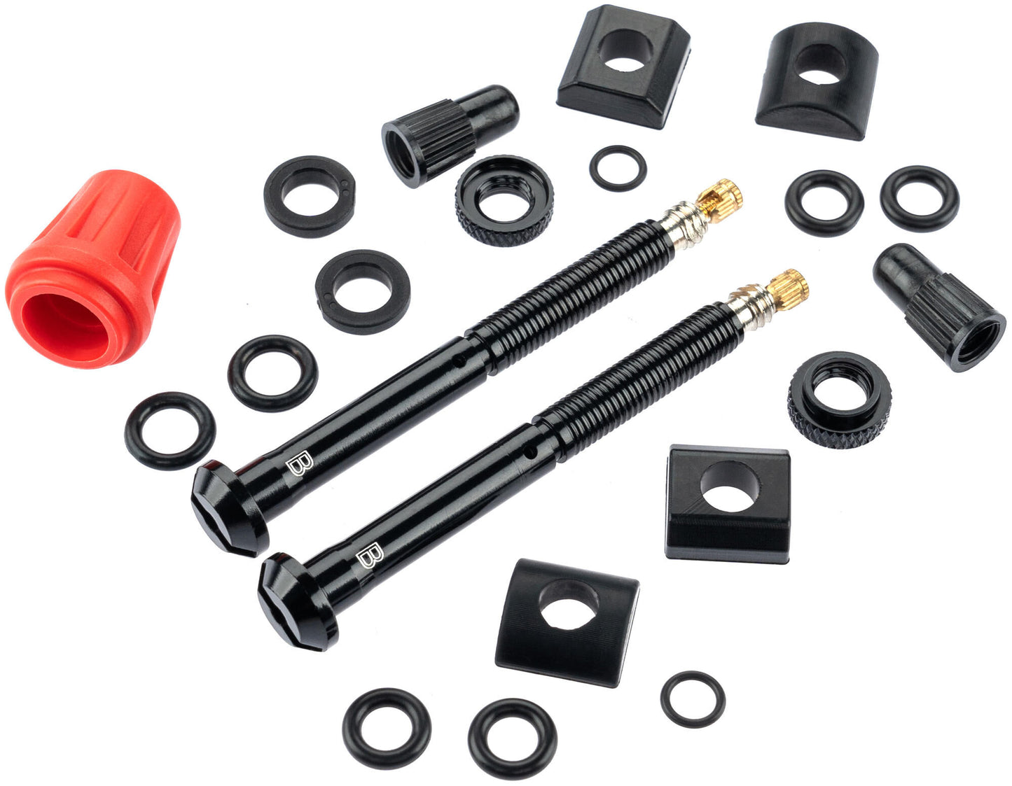 Válvula quarq tyrewiz 2.0 válvula tyrewiz 2.0 b 8.0-15.4mm