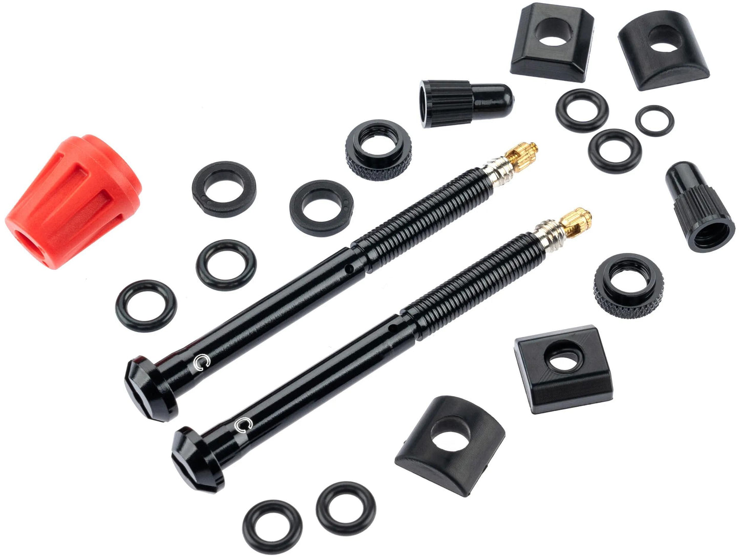 Válvula Quarq Tyrewiz 2.0 15.4-22.6 mm