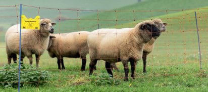 Ako ovinet premium 50m naranja 108cm de alto 30cm de malla