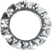 Ardiente ardiente ardiente ardiente. M6 zinc