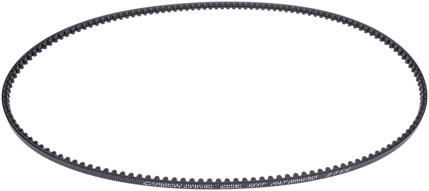 Cintura di guida Canna CDX Carbon Drive 151T 1661x12mm nero