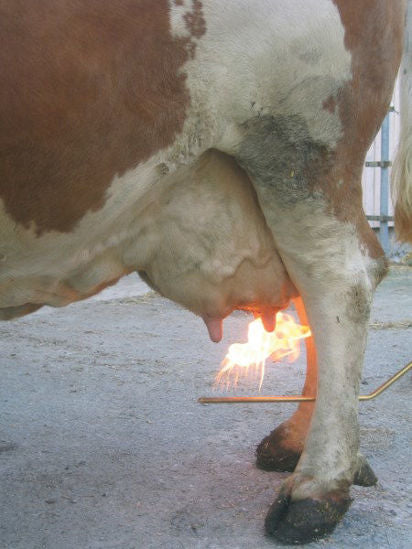 Depilatore mobile per mammelle Preventa per piccola bomboletta di gas