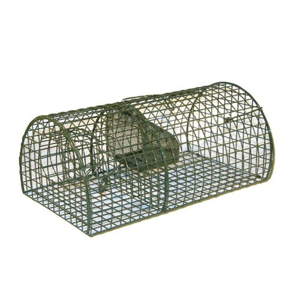 Hemisferio de jaula trampa para ratas