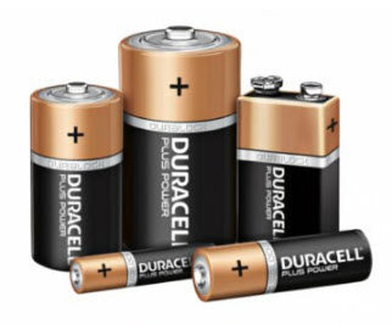 Duracell - Batteria più vita extra al 100% MN1400 LR14 C BP2