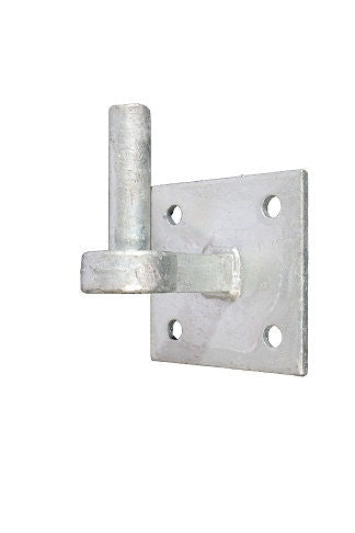 Pollice Waelbers tondo 19mm su placca 10x10 fv