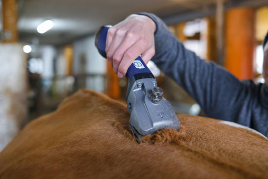 Aesculap econom afeitadora a bateria aesculap bonum pro blue 2 baterias