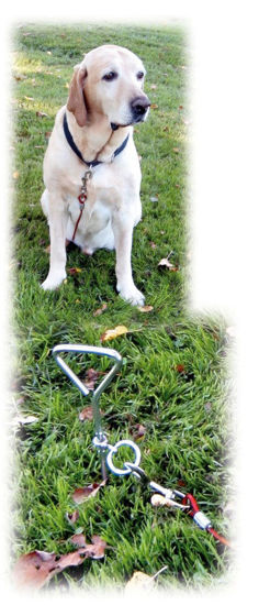 Espiral de construcción 8mm x 40cm con hilo para caminar 5mm x 6m