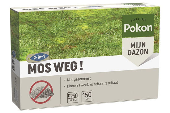 Pokon muschio via 150 mq 5250 gr
