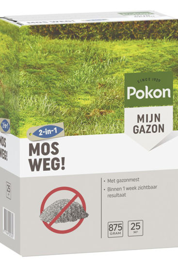 Pokon muschio via 25 mq 875gr