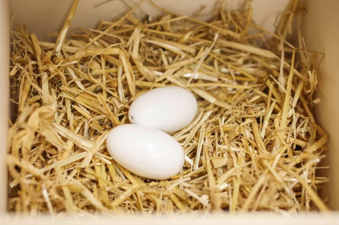 Huevos de nido Kerbl hechos de arcilla de gallinas