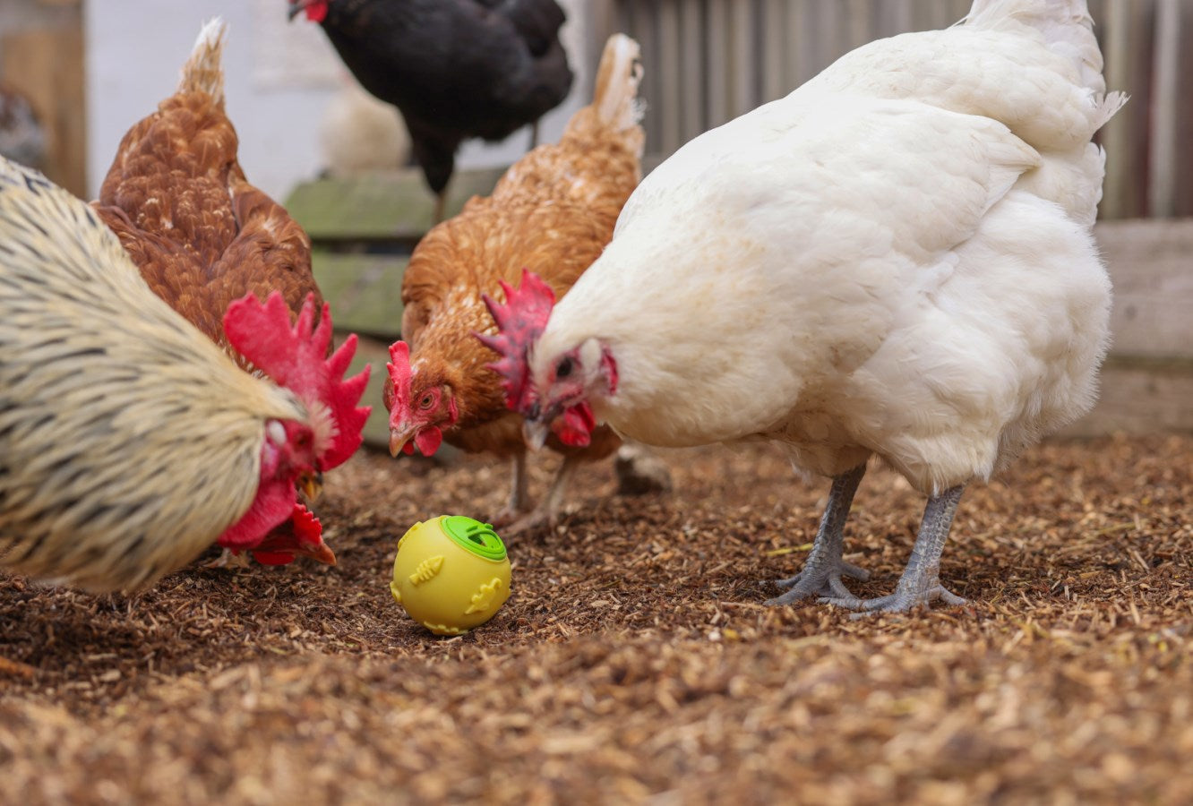 Palla snack per galline %c3%b8 75 cm gialla