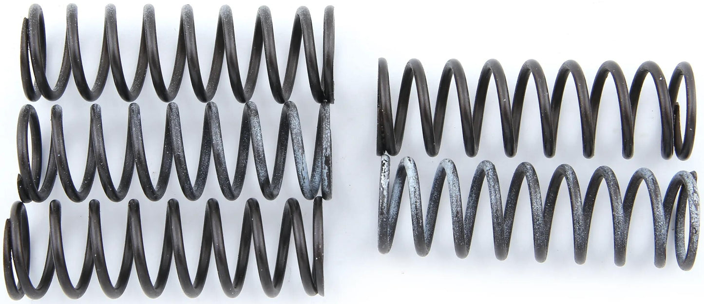 TRW Clutch Spring Kit MEF313-6