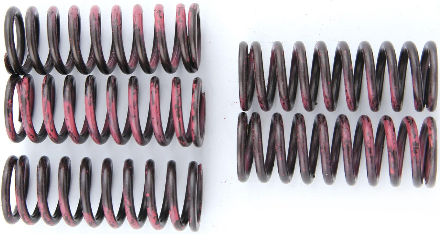 TRW Clutch Spring Kit MEF315-5