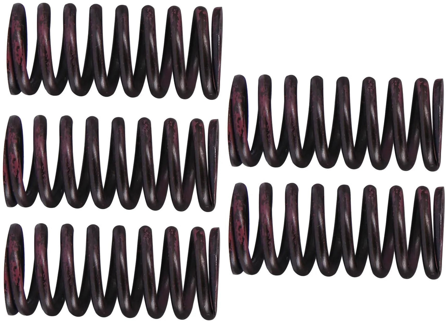 TRW Clutch Spring Kit MEF316-5