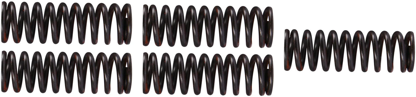 TRW Clutch Spring Kit MEF323-5