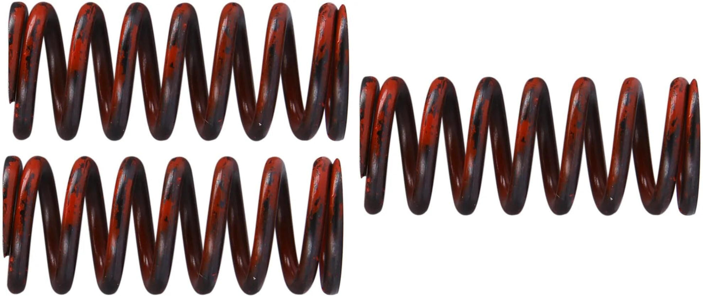 TRW Clutch Spring Kit MEF324-3