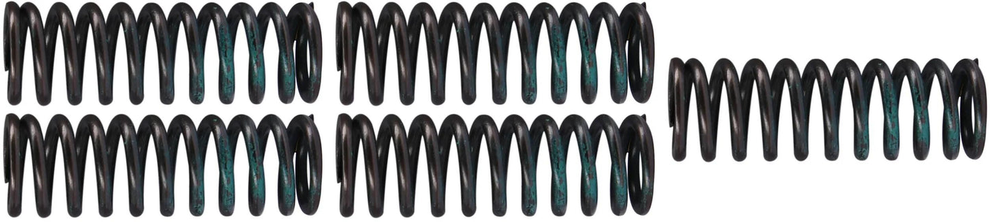 TRW Clutch Spring Kit MEF319-5