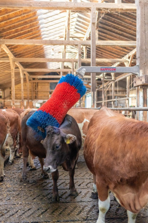 Cepillo ganadero Happycow freemaxi