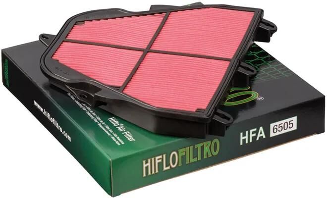 Filtro dell'aria Hiflofiltro HFA-6505