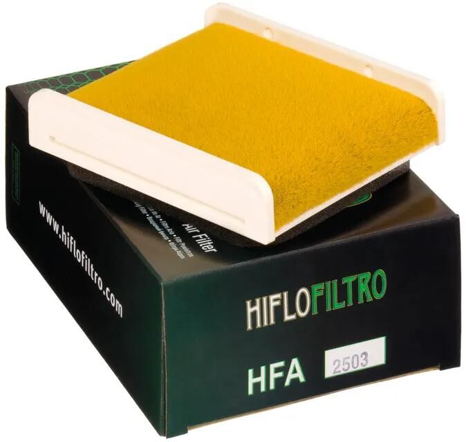 Filtro dell'aria Hiflofiltro HFA-2503