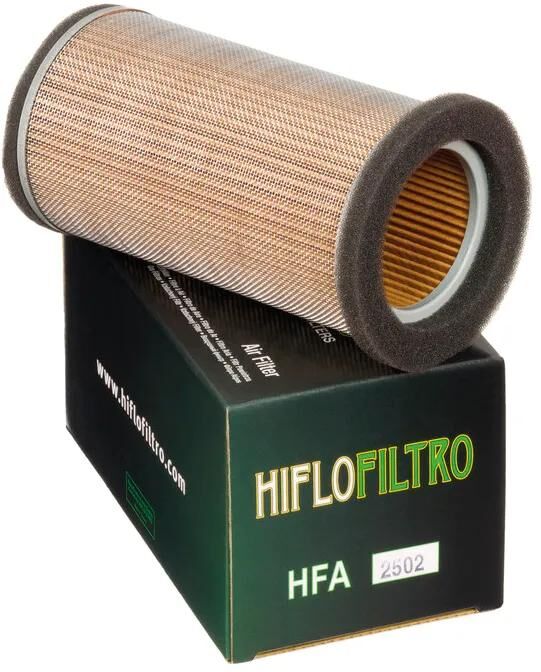 Filtro dell'aria Hiflofiltro HFA-25502