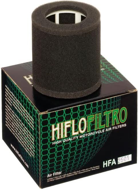 Filtro dell'aria Hiflofiltro HFA-25501