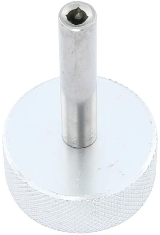 Tornillo de válvula de bicicleta BST 3 mm 4knt