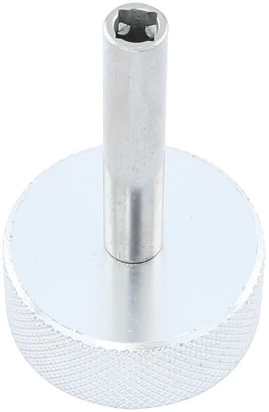 Tornillo de válvula de bicicleta BST 4 mm 4knt