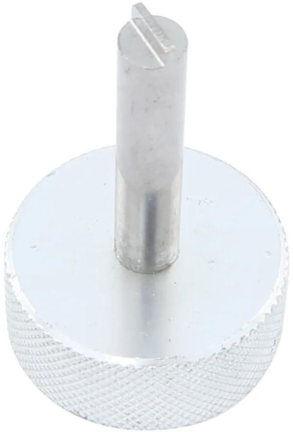 Tornillo de válvula de bicicleta bst bst schlz