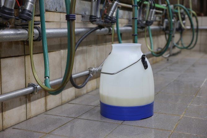 Secchio per latte Kerbl semi trasparente blu 30 litri
