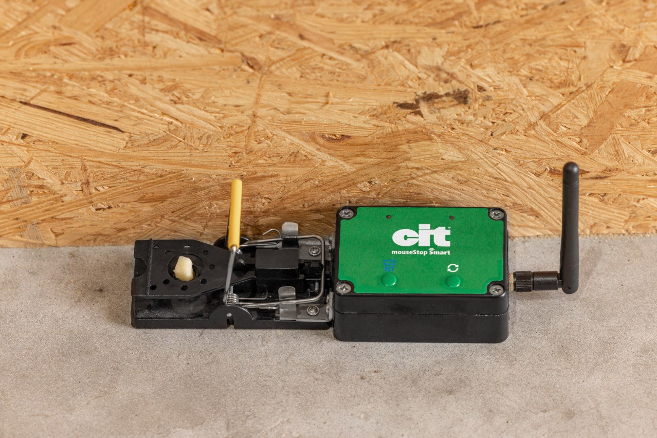 Ratonera smart cit mousestop